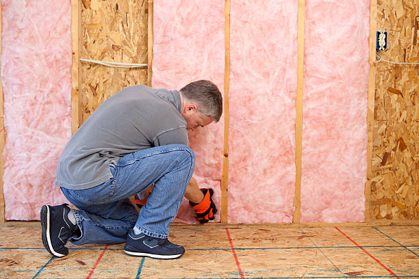 Best Professional Insulation Contractor  in Glenwood Springs, CO